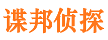 大新出轨调查